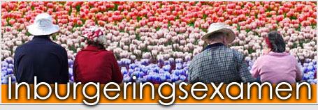 Inburgeringsexamen